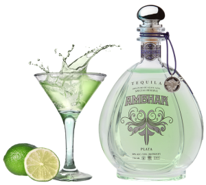 Agave Wine vs Tequila: From Plant to Spirit Showdown