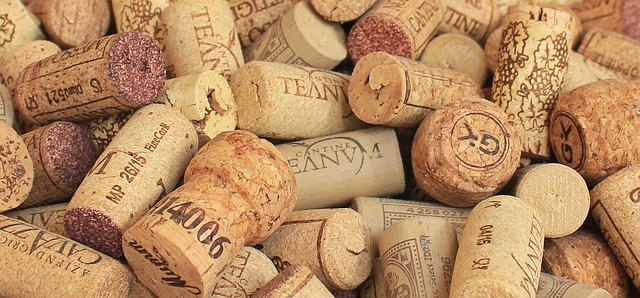 4. Translations Wine Collection: Exploring the Range of Grape Varietals