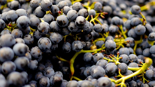 2. Pinot Noir: A Delicate Wine ‍to ‌Complement Juicy Ribs