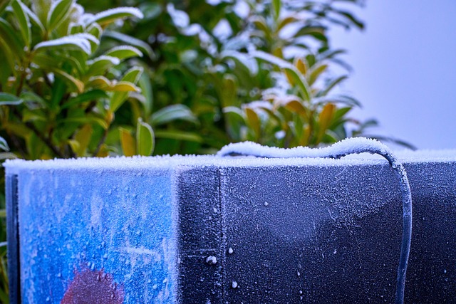 4. Versatility and Convenience: Advantages of Beverage Coolers