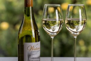 What Is the Difference Between Chardonnay and Pinot Grigio? Contrasting White Wine Varietals