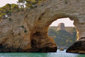 Puglia’s Finest: Where to Buy Primitivo Puglia Red Wine?