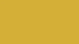 Bathing in Champagne: Facts, Skin Effects & Luxury Myths | MPW Wine (AI Generated Image)